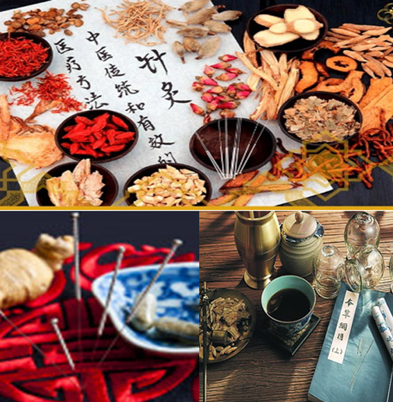Terapias complementares Medicina Tradicional Chinesa / Acupuntura